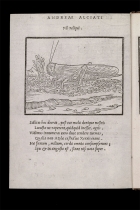 “ILLUSTRATED NEWS” OF A LOCUST PLAGUE IN THE 16TH CENTURY – EMBLEM BOOKS AS A SOURCE FOR ENVIRONMENTAL HISTORY