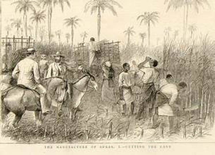 CFP: Locating Knowledge: Science and Technology in Commodity Frontiers