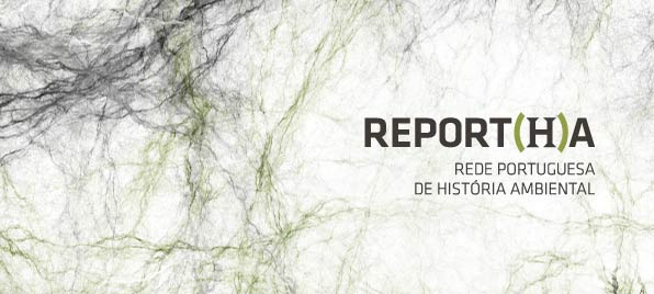 Curso online: "História, Ambiente e Conhecimento no Antropoceno – edição especial Fogo"