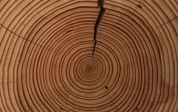 Changing Climates - Changing Histories: Perspectives from the Humanities