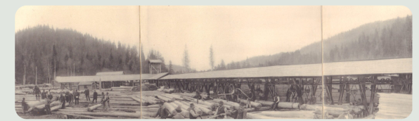 Call for Papers: A World of a Thousand Cuts. Forests, Wood, and Industrialisation Across the Globe in the 19th and 20th Centuries