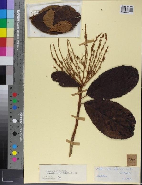 NEW! Environmental Stories