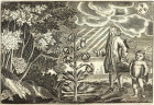 Portrait of a Flora: José Quer y Martínez and the Botany of Enlightened Spain (1762-1764)