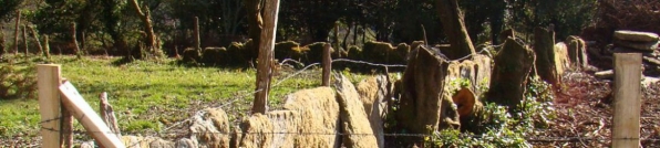 Call for papers - XVI CONGRESO DE HISTORIA AGRARIA-SEHA # VII ENCONTRO RURALREPORT – SANTIAGO DE COMPOSTELA, 20-23 JUNIO 2018